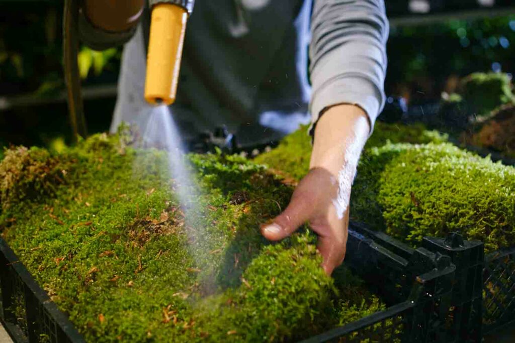 Websérie savoir-faire producteur Jardiland Naturalys